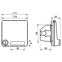 Jung SCHUKO-Steckdose 16A 250V mit Klappdeckel ES 1520 NAKLSL