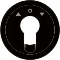 Berker Zentralstück schwarz/glänzend für Jalousie Schlüsselsch. 15062045