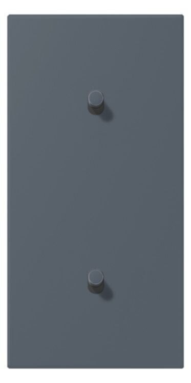 Jung Jung LC12-20R0262 Abdeckung mit Kipphebel "Zylinder" 2x1 Kipphebel senkrecht LS 1912 gri