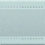 BTicino NT4911M2N Wippe 2M Neutral Beleuchtungsfenster oben und unten
