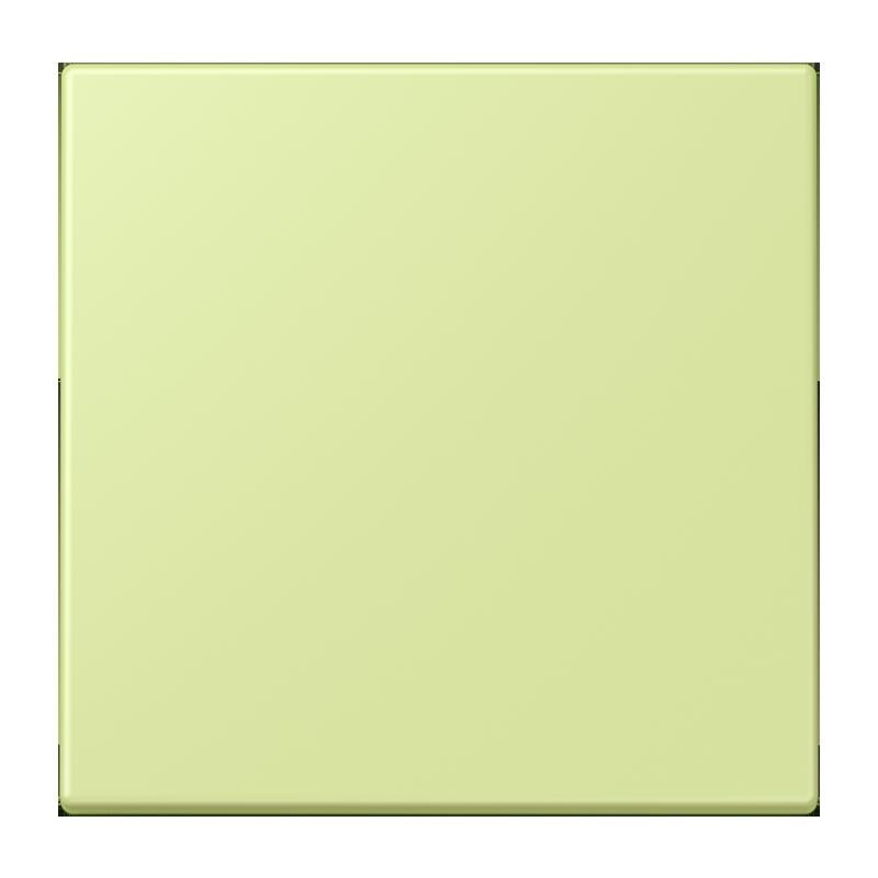 Jung Jung LC1700222 Steuertaste Standard LC32053