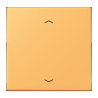Jung LC101P254 Wippe mit Pfeilsymbolen für KNX Taster 1