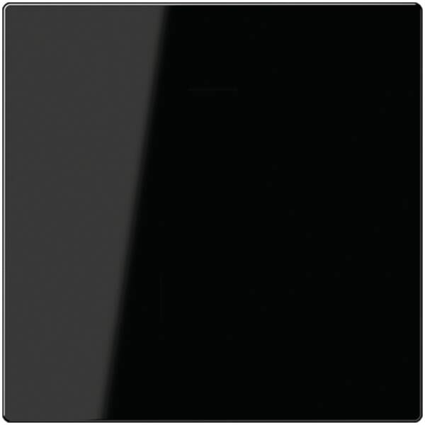 Jung Jung A594-0PLSW Blind-Abdeckung o.Tragring verrastet Serie A schwarz
