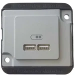 Merten USB-Ladestation mattsilber, PANZER MEG4366-7060