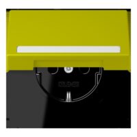 Jung LC1520BFNAKL249 SCHUKO-SteckdoseKI mit Klappdeckel mit S