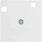 Berker Zentralstück pws/matt/samt für FI-Schutzschalter 14961909
