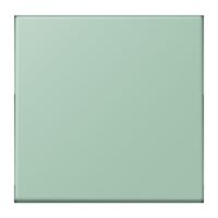 Jung LC1700217 Steuertaste Standard LC32041