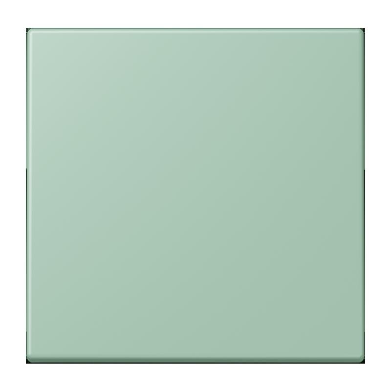 Jung Jung LC1700217 Steuertaste Standard LC32041