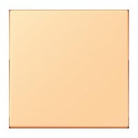 Jung LC990258 Wippe für Schalter/Taster LC4320P