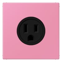 Jung LC521-15246 Steckdose US-Norm NEMA LC4320C