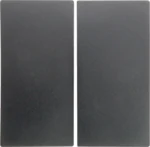 Berker Wippe anthrazit matt 2-fach 16231606