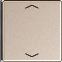 Jung Taste 4-fach champ. mit Symbolen A 404 TSAP CH 14