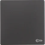 Berker Wippe anthrazit/sa mit Aufdruck Tür 16206066