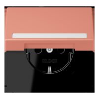 Jung LC1520BFNAKL233 SCHUKO-SteckdoseKI mit Klappdeckel mit S