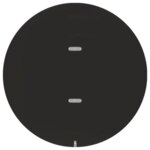 Berker 75161865 Tast-Abdeckung 1-fach für Tastsensor R.1/R.3 schwarz glänzend