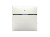 Theben Tastsensor 2 Tasten LUXORliving iON2