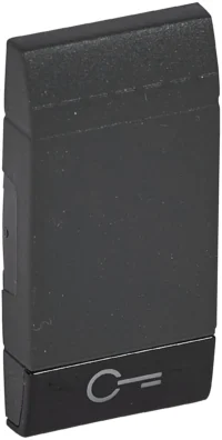 BTicino L4915FN LivingLight Symbolwippe 1M SCHLÜSSEL Anthrazit