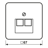 Jung Abdeckung aws für IAE/UAE-Dose CD 569-2 UA WW