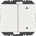 Berker Modul Wippe 2-fach einss Aufdr K.1 polar weiß 24127309