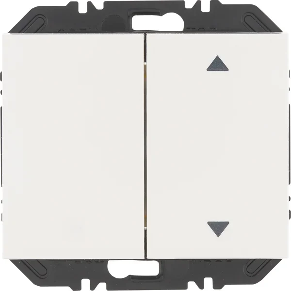 Berker Modul Wippe 2-fach einss Aufdr K.1 polar weiß 24127309