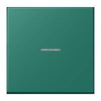 Jung LC101KO5216 Wippe mit Lichtleiter für KNX Taster 1fa
