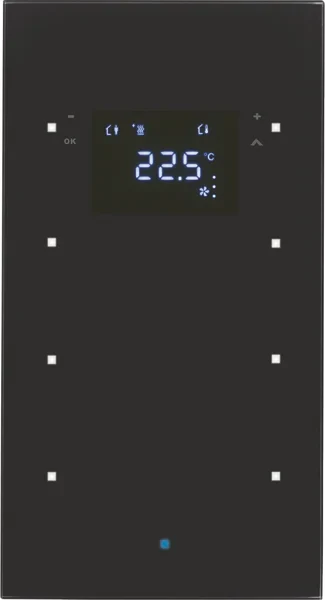 Berker Berker Glas-Sensor mit Raumtemperatur. 75643035