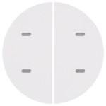 Berker 75162869 Tast-Abdeckung 2-fach für Tastsensor R.1/R.3 polarweiß glänzend