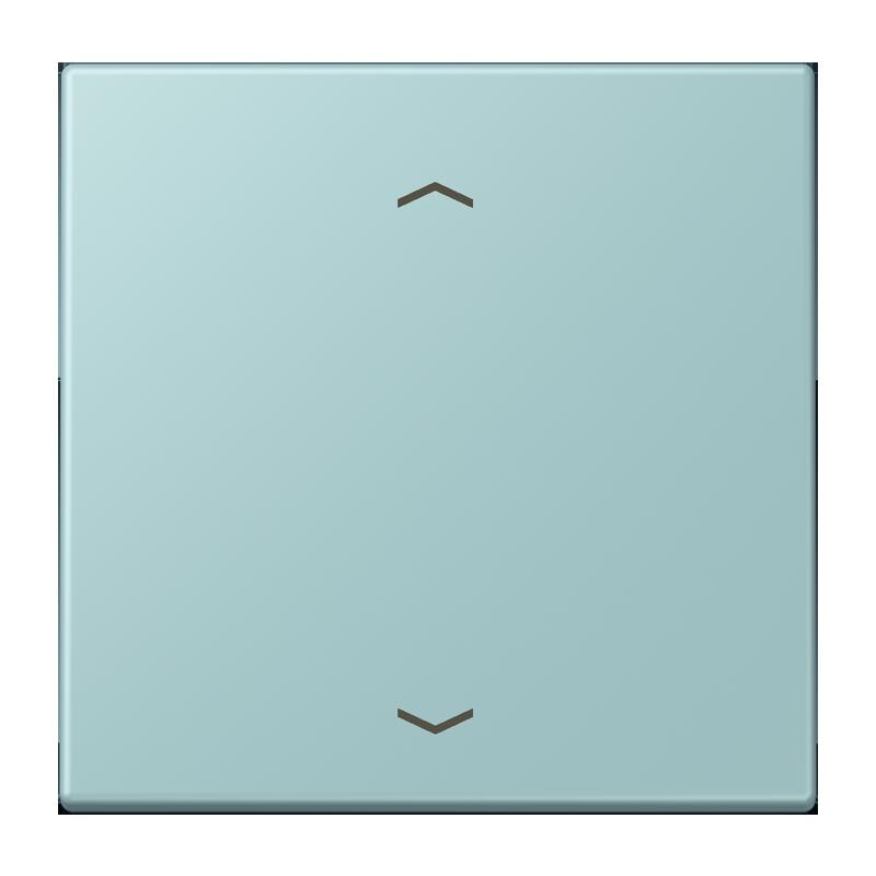 Jung Jung LC1700P214 Steuertaste Standard -Pfeile LC32033