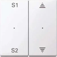 Merten Wippe aws/gl 2f,(Szene1/2,Auf/Ab) MEG5227-0325