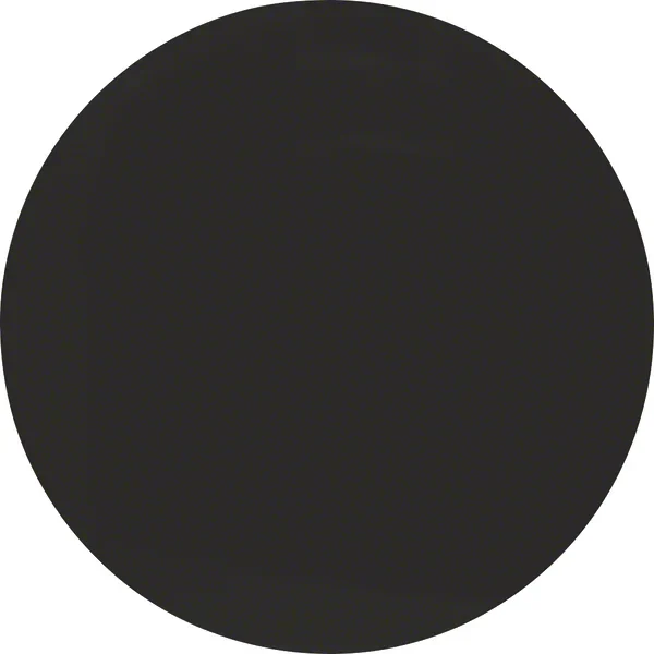 Berker Berker Wippe schwarz/glänzend 16202045