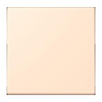 Jung LC1700238 Steuertaste Standard LC32123