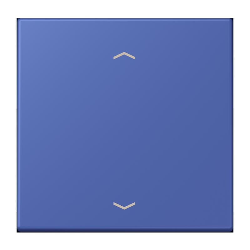 Jung Jung LC1700P206 Steuertaste Standard -Pfeile LC32020