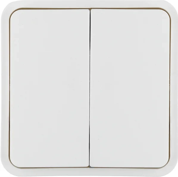 Berker Berker Wippe 2-fach, pws 30553542