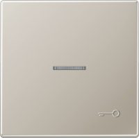 Jung Wippe geprägtes Symbol Tür edelstahl ES 2990 KO5 TP