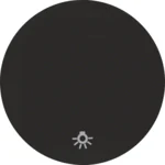 Berker Wippe schwarz/glänzend mit Aufdruck Licht 16202035