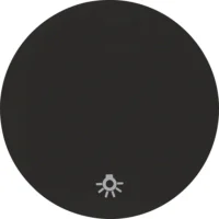 Berker Wippe schwarz/glänzend mit Aufdruck Licht 16202035