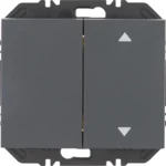 Berker Modul Wippe 2-fach einss Aufdr K.1 an 24127306