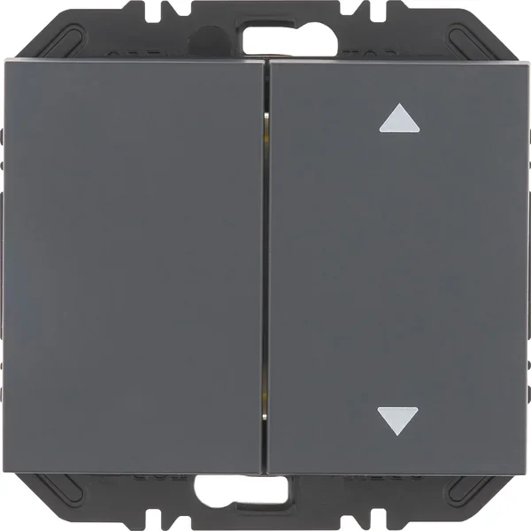 Berker Modul Wippe 2-fach einss Aufdr K.1 an 24127306