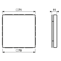 Jung Blind-Abdeckung aws kompl.mit Tragring LS 994 B WW