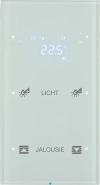 Berker Touchsensor 2-fach Glas polarweiß 75642150