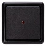 Kopp 514605009 STANDARD-Aufputz Kontrollschalter Farbe:schwarz