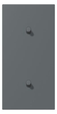 Jung LC12-20R0202 Abdeckung mit Kipphebel "Zylinder" 2x1 Kipphebel senkrecht LS 1912 gri