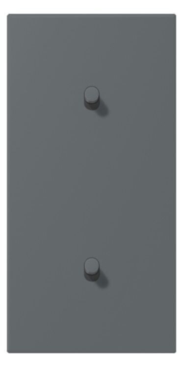 Jung Jung LC12-20R0202 Abdeckung mit Kipphebel "Zylinder" 2x1 Kipphebel senkrecht LS 1912 gri