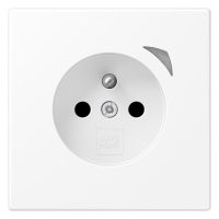 Jung BT LS 1521 F SE WWM JUNG HOME Steckdose Energy französisch/belgisches