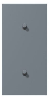 Jung LC12-20R0251 Abdeckung mit Kipphebel "Zylinder" 2x1 Kipphebel senkrecht LS 1912 gri