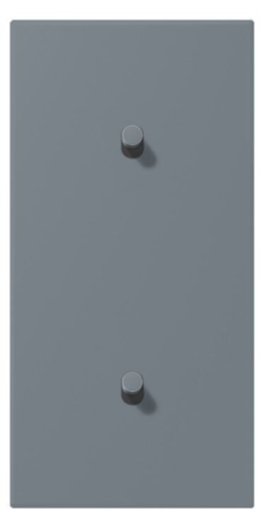 Jung Jung LC12-20R0251 Abdeckung mit Kipphebel "Zylinder" 2x1 Kipphebel senkrecht LS 1912 gri