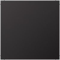 Jung Blindabdeckung f.individ.Ausschnitt AL 2994 B D