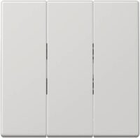 Jung LS993BFLG Wippe f.3-fach Schalter lichtgrau