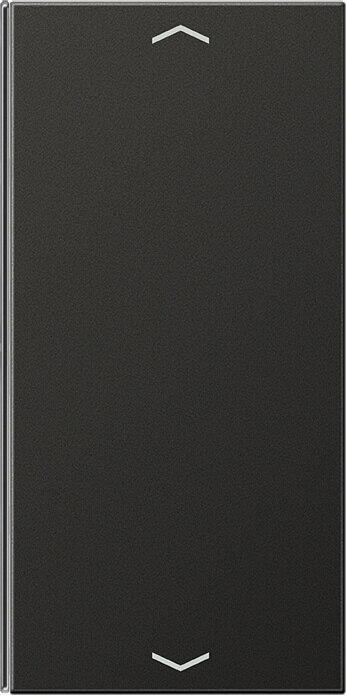 Jung Jung Taste 2-fach anth Symbol Auf/Ab AL 2402 TSAP AN