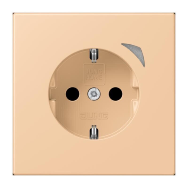 Jung Jung BTLC1521S237 JUNG HOME SCHUKO Steckdose LC32122